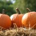 10 Places to Buy Amazing Pumpkins This Fall