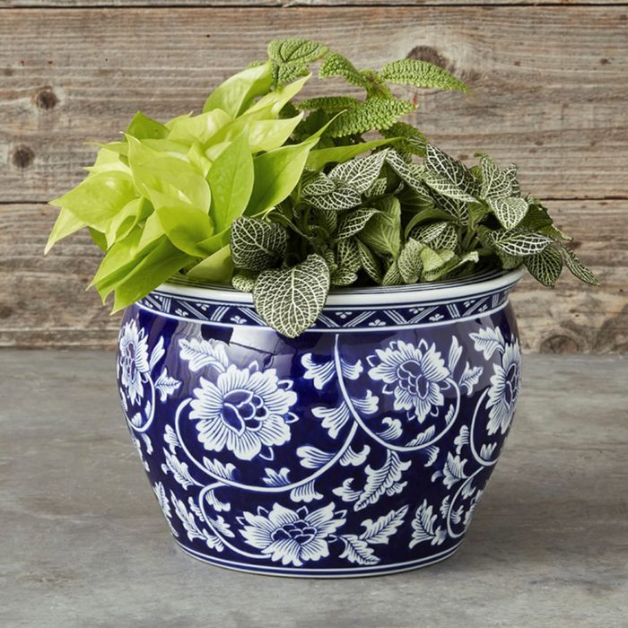 Blue And White Ceramic Pot
