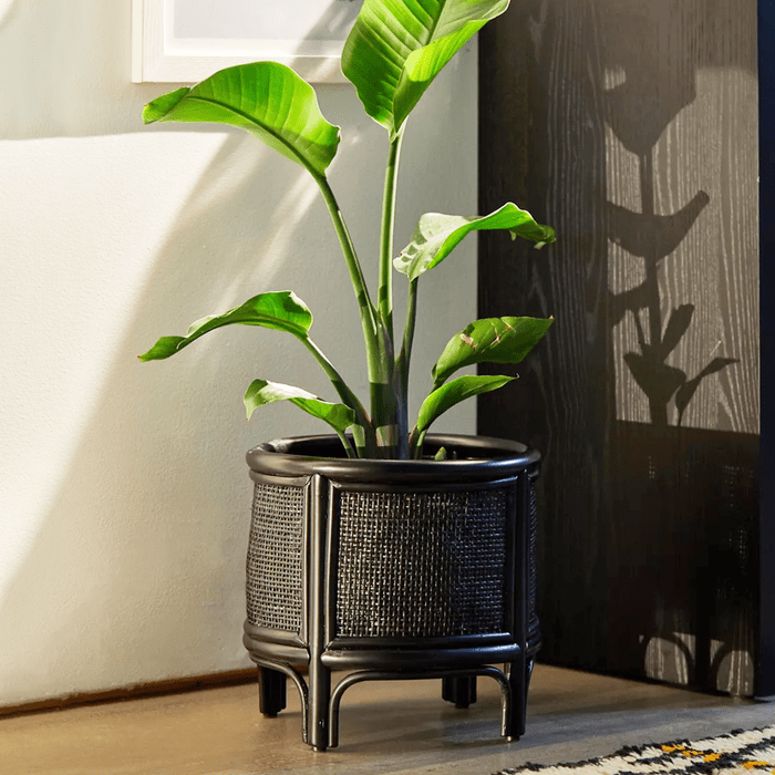 Rattan Planter