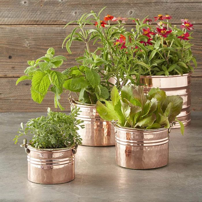 Round Copper Planter