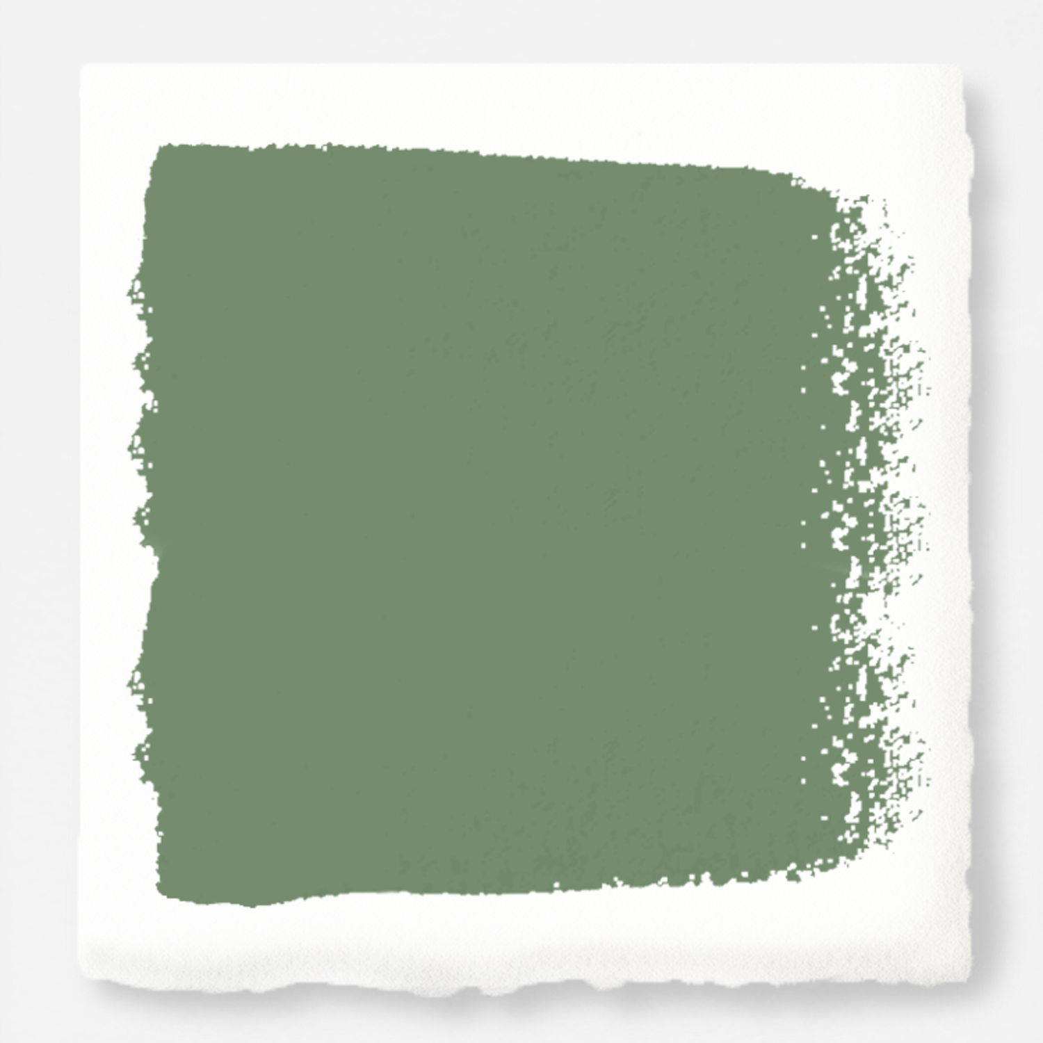 Magnolia Green Paint Via Magnolia.com