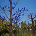 What's a Bottle Tree—and How Do I Make One?