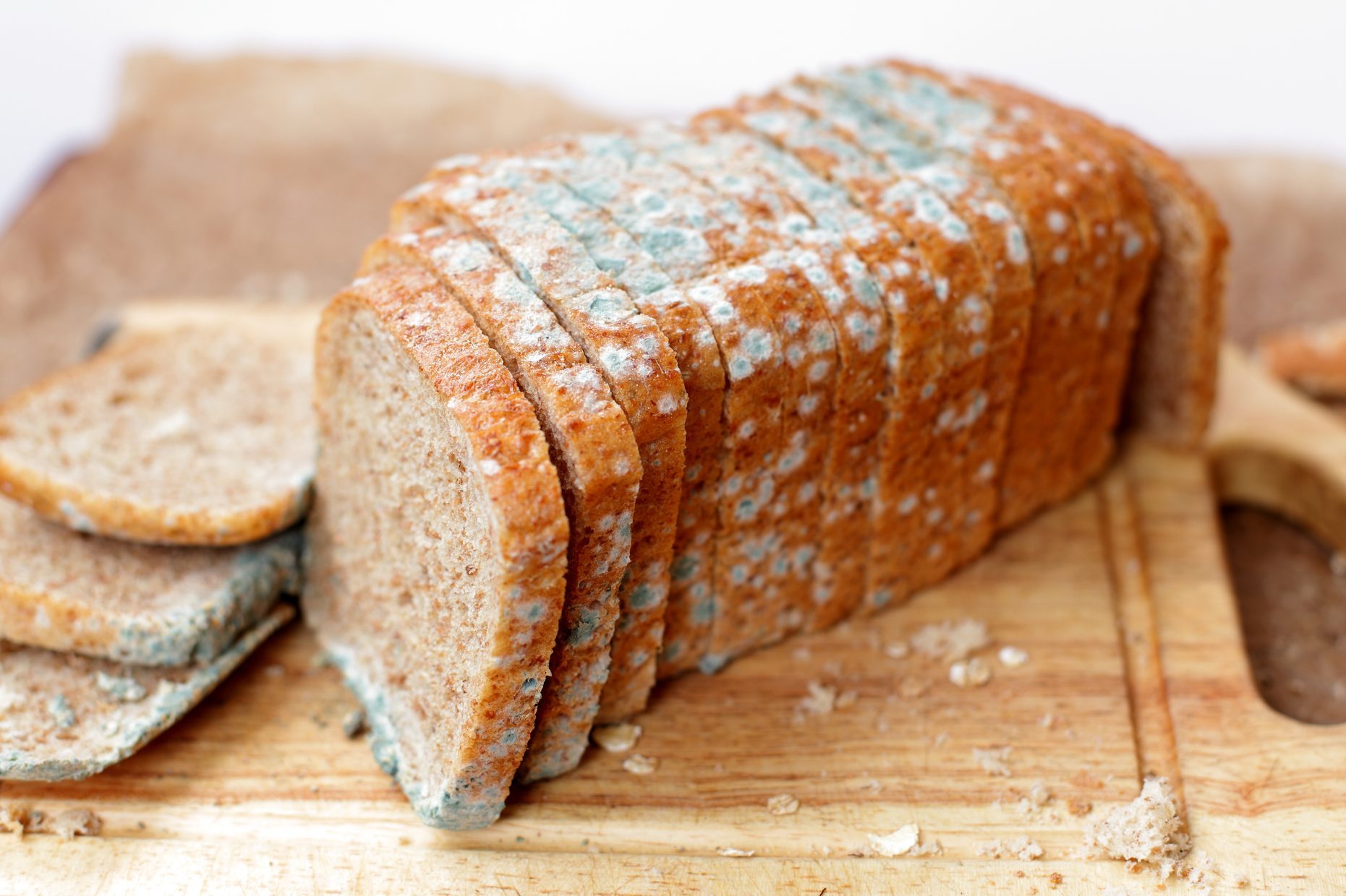 Moldy loaf of bread