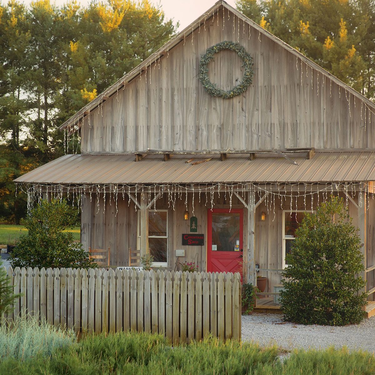 Country Cove Christmas Tree Farm Tour Tennessee