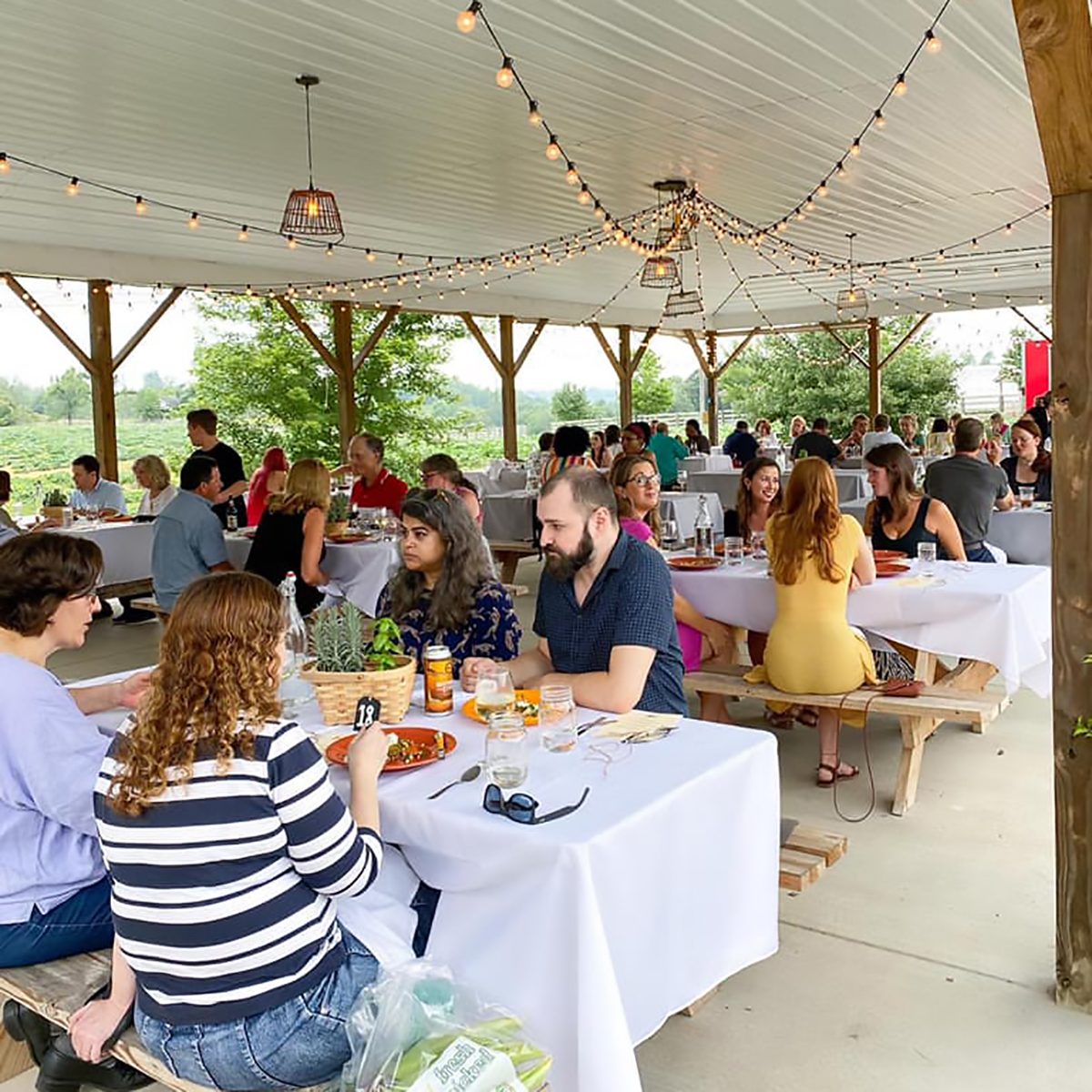 Gritts Farm Tour West Virginia