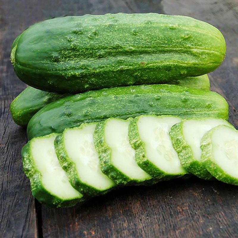 National Pickling Cucmber
