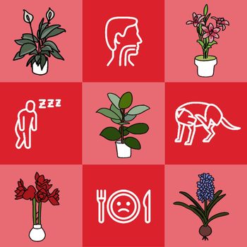 Toxic Plants illustration with icons of symptoms of ingestion