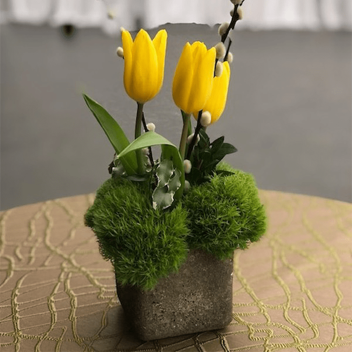 Small Spring Garden Arrangement Via Theportablegarden Instagram
