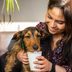 Is the Starbucks Puppuccino Safe for Dogs?