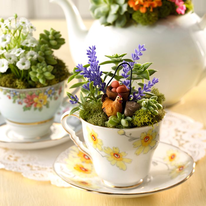 Fairy Garden Cups