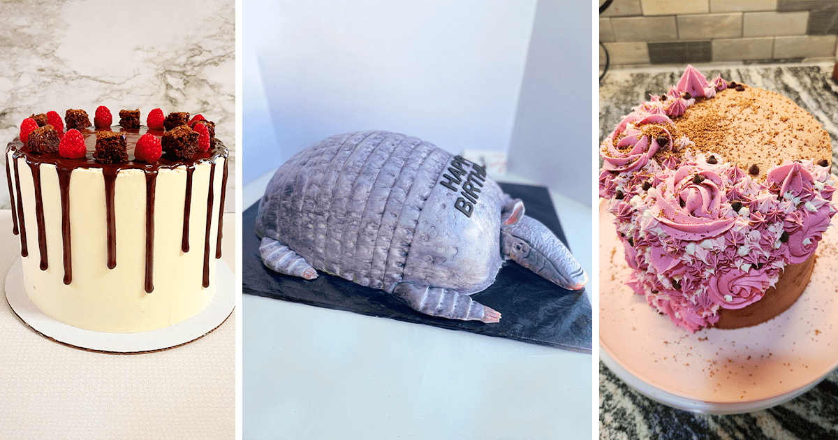 Toh Party Cakes Decorating Contest 2