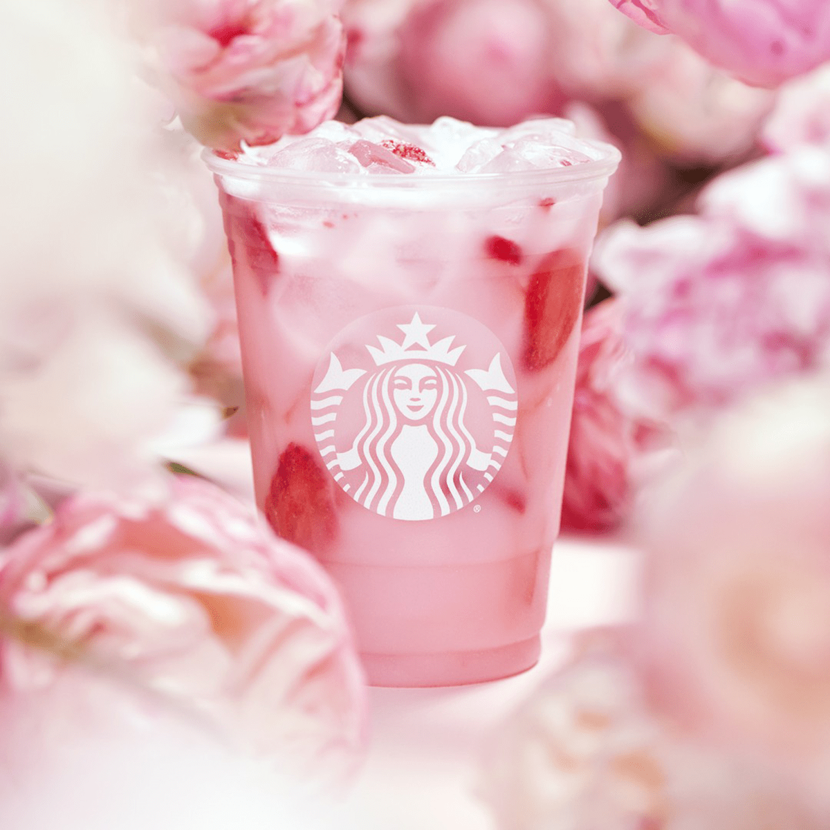Starbucks Pink Drink