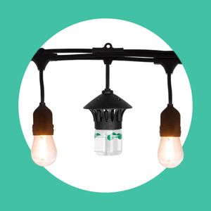 Bitefighter Led String Lights