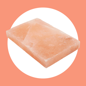 Sur La Table Salt Block