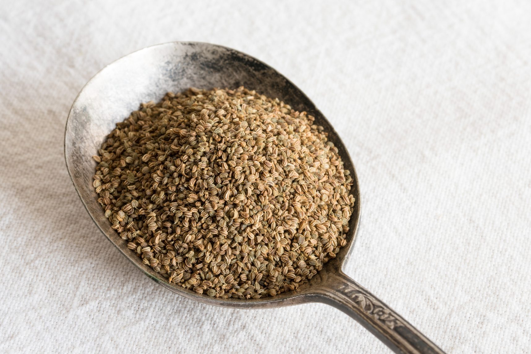 Celery Seeds on a Vintage Spoon