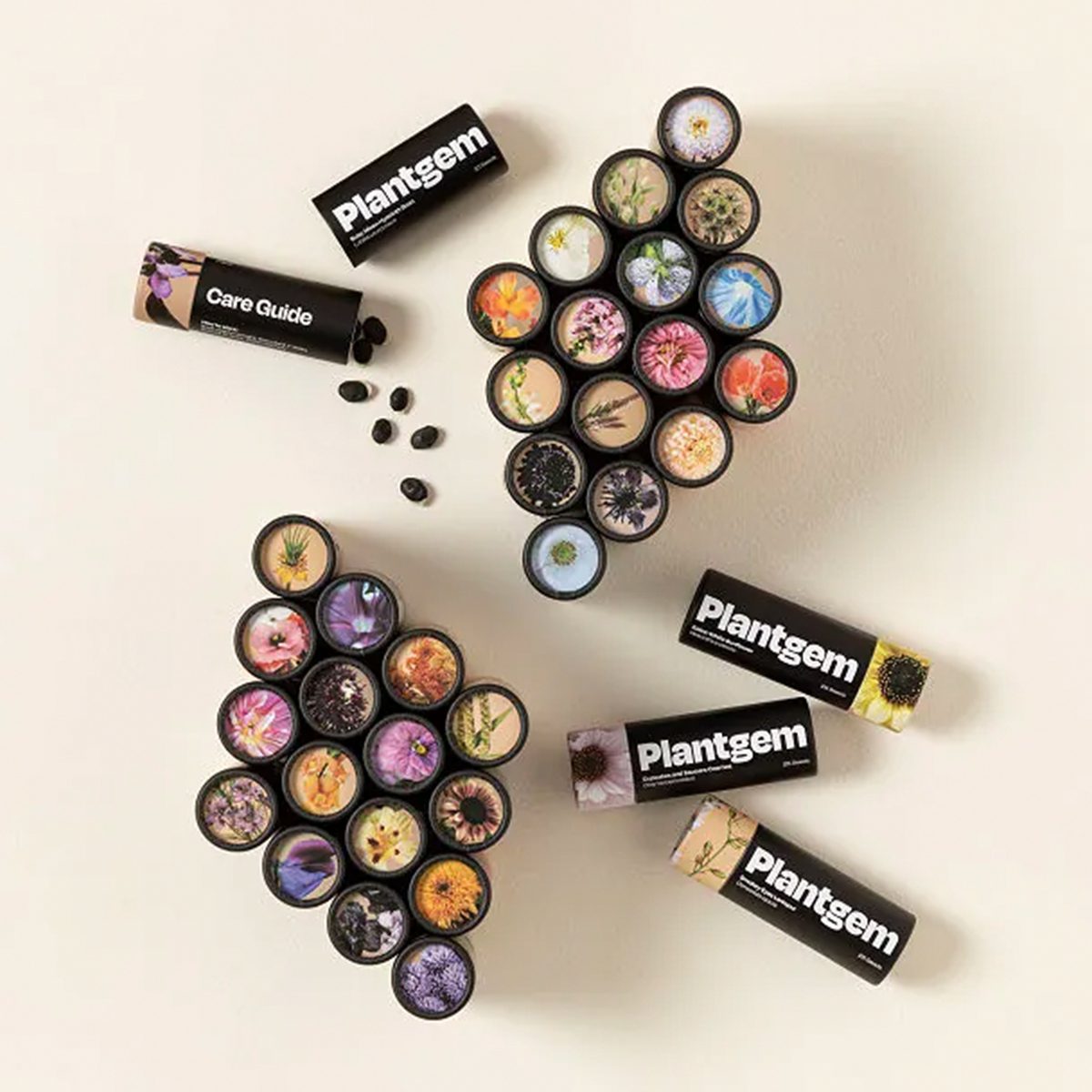 Flower Garden In A Box