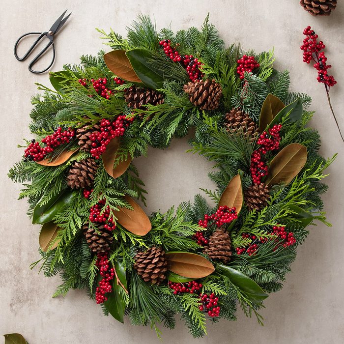 Fresh Southern Magnolia Evergreen Foliage