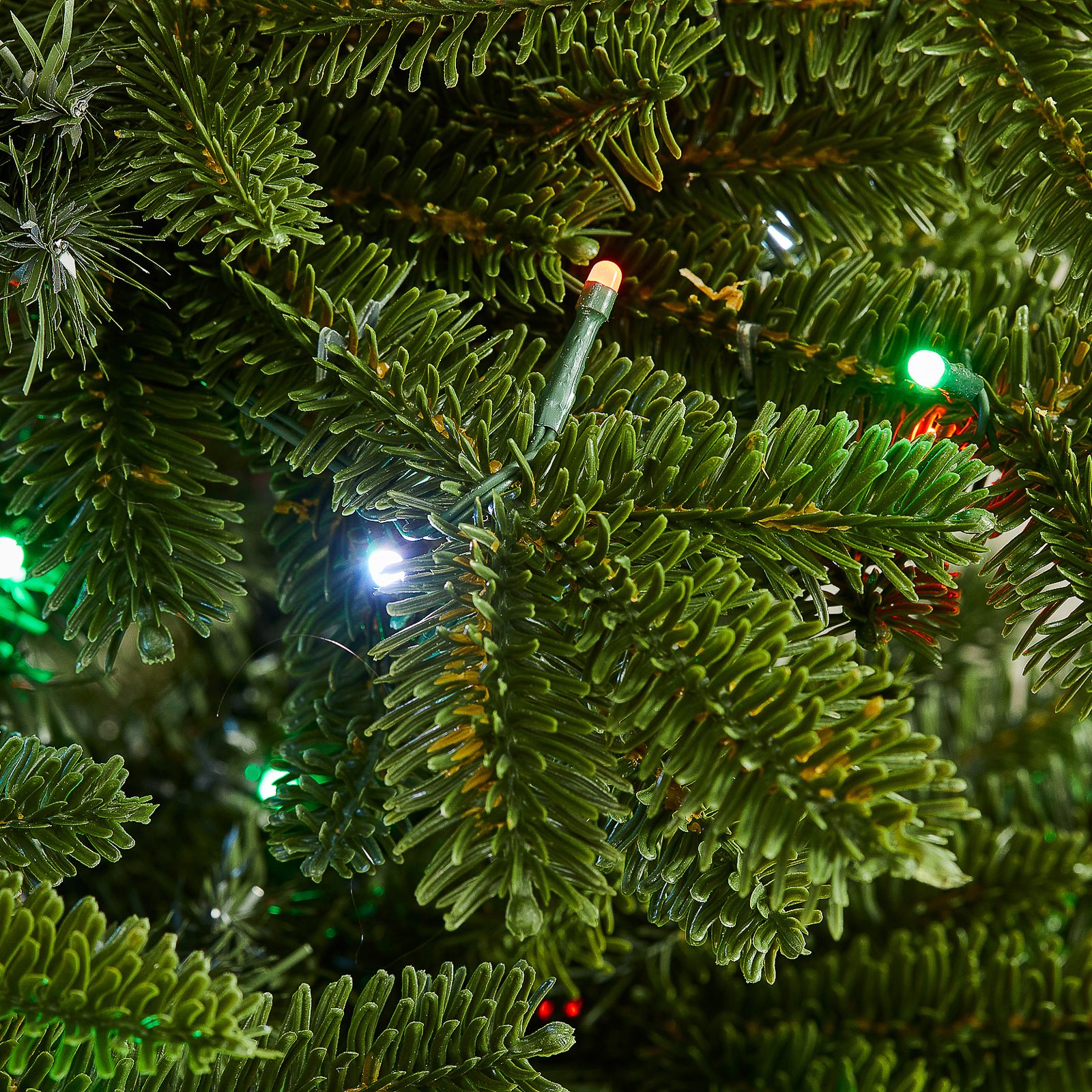 BH Fraser Fir Tree with Twinkly Light Show close up