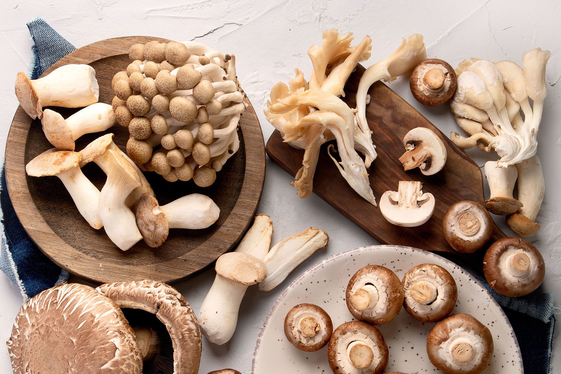 How to Store Mushrooms to Keep Them Fresh