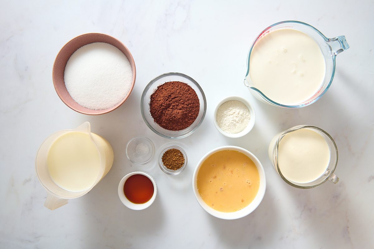 Overhead shot of the ingredients for mocha ice cream