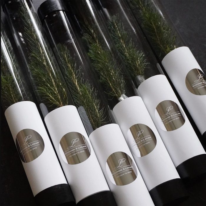 Toh Affiliate Sapling Favors Wedding Favor