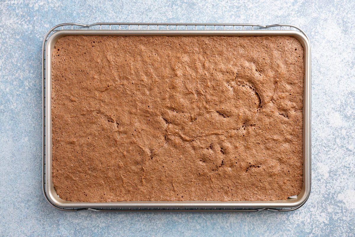 Taste of Home Ice Cream Cake Roll recipe photo of sheet cake cooling.