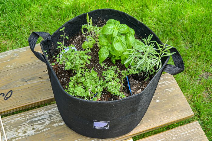 Gardenuity Vegetable Garden Subscription