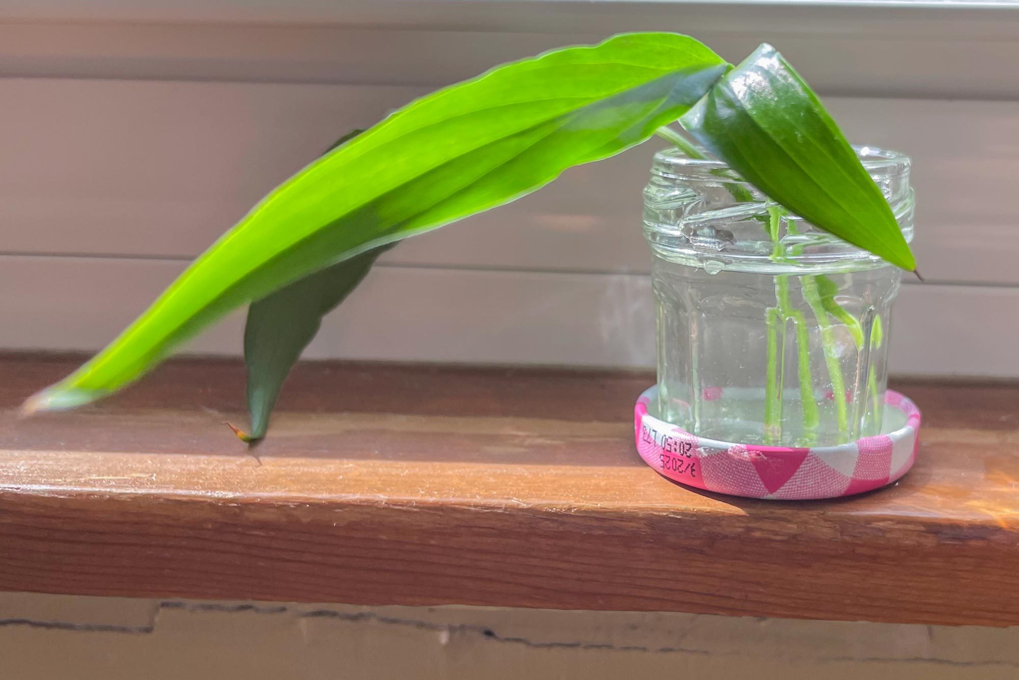 The Bonne Maman 2024 Advent Calendar