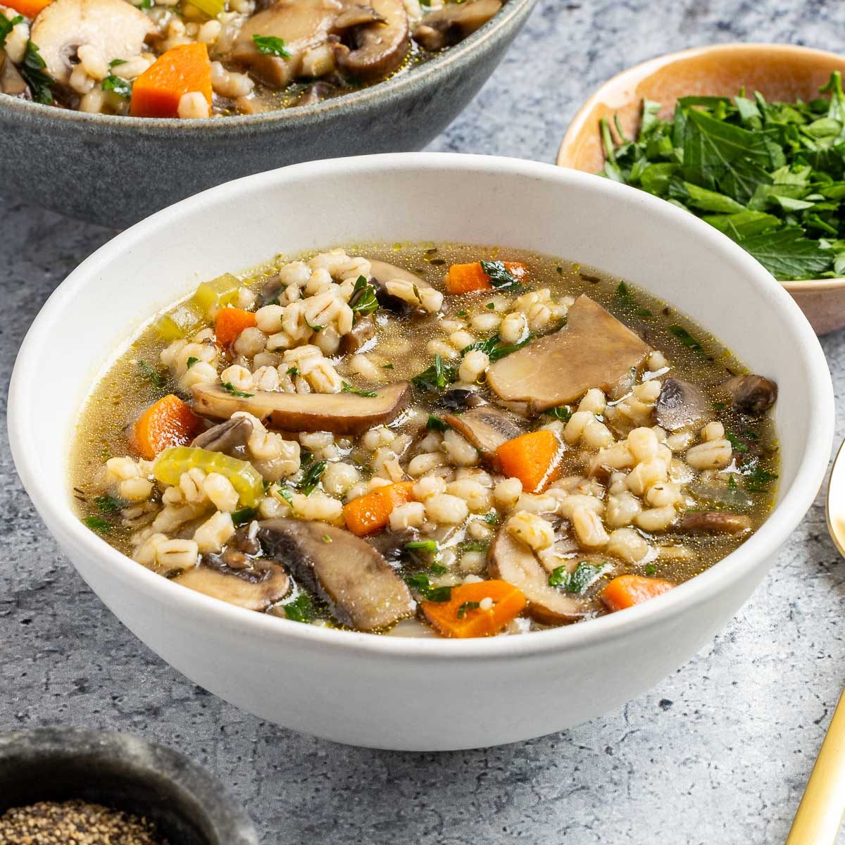 Mushroom Barley Soup