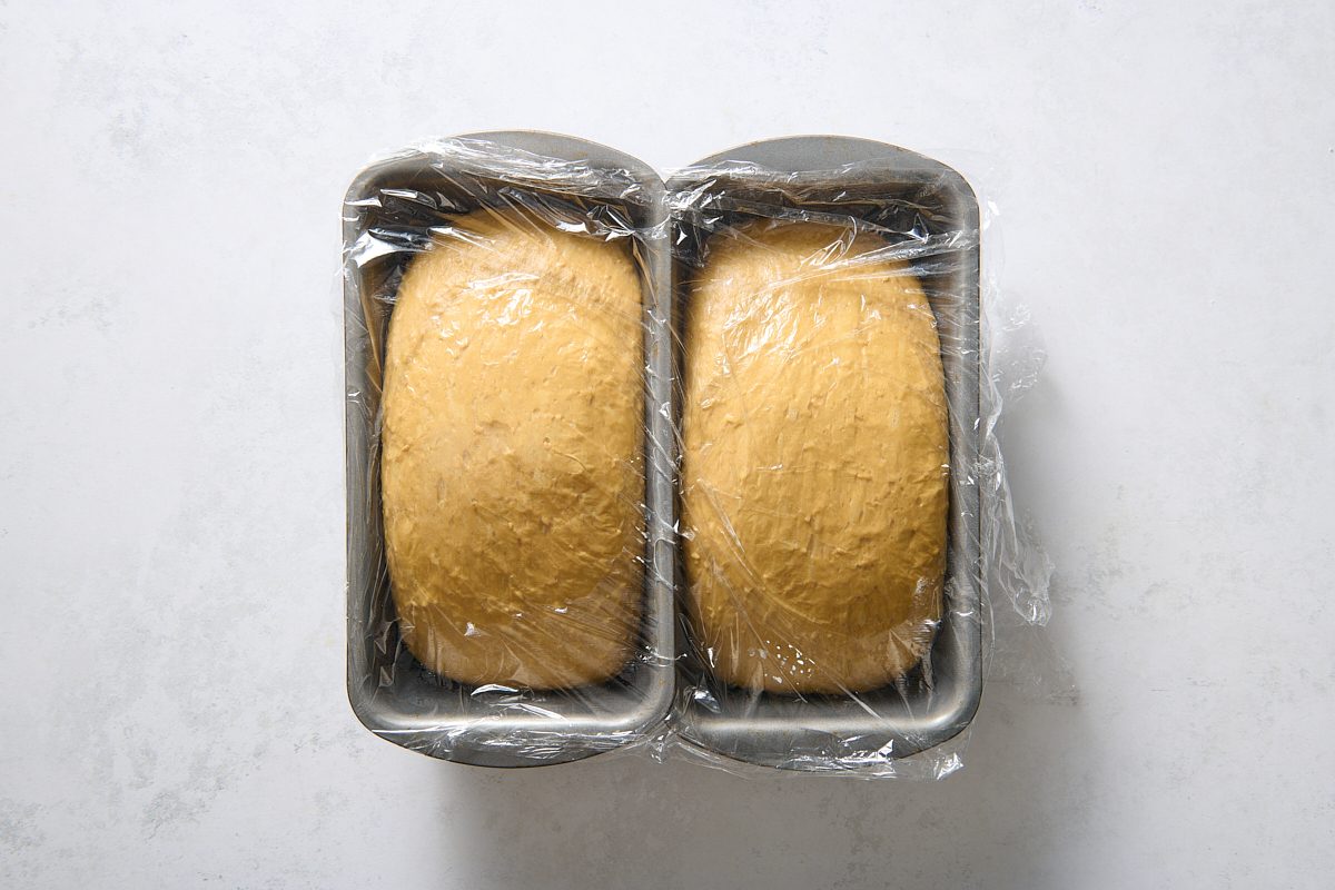 Dough formed into loaves and left to rise in two loaf tins
