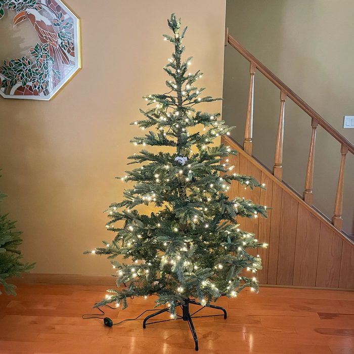 Toha24 King Of Christmas King Noble Fir Katie Bandurski 01 Ssedit