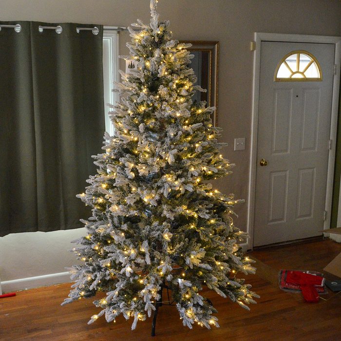 Toha24 King Of Christmas Queen Flock