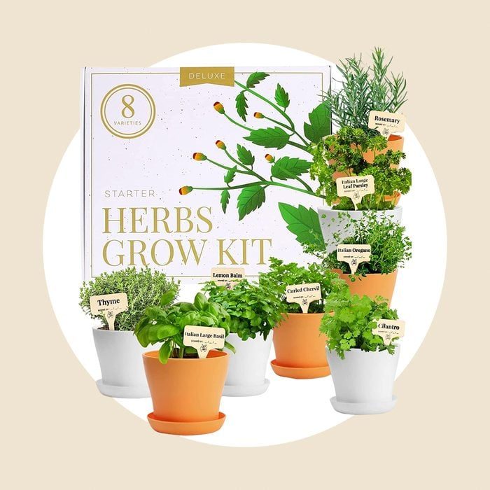 Deluxe Herb Garden Kit Ecomm Via Amazon.com 