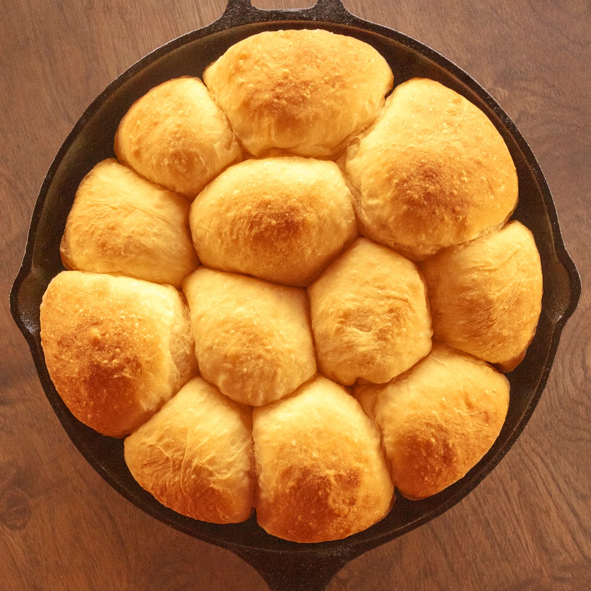 Butternut Squash Rolls