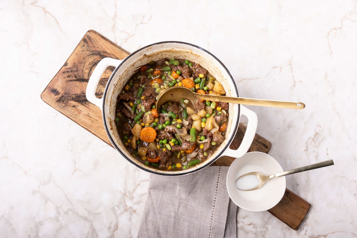 Taste of Home Mulligan Stew (4862)