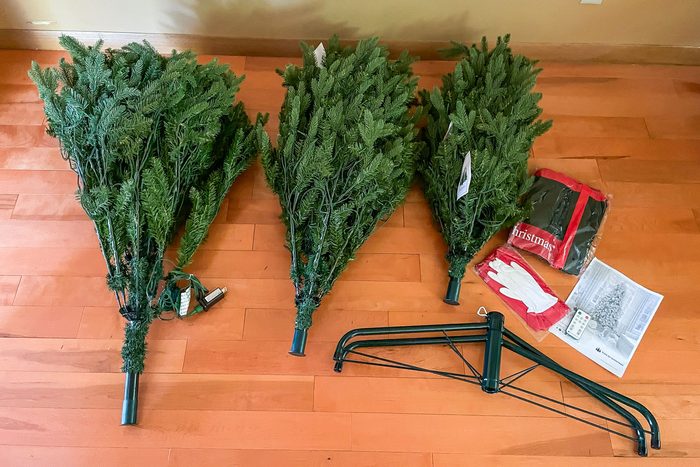 King Of Christmas Alpine Fir