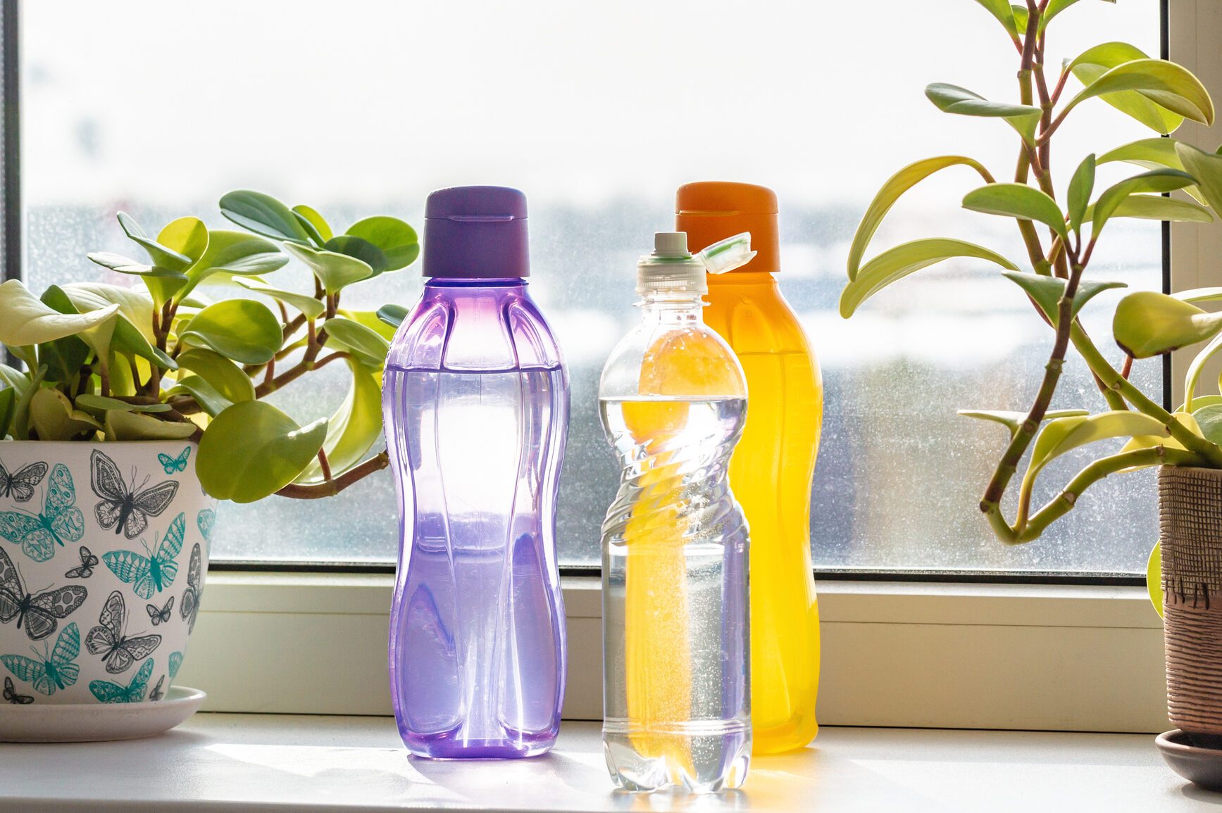 Three plastic polypropylene colored reusable bottles with clean drinking water stand on a window sill next to green plants in pots