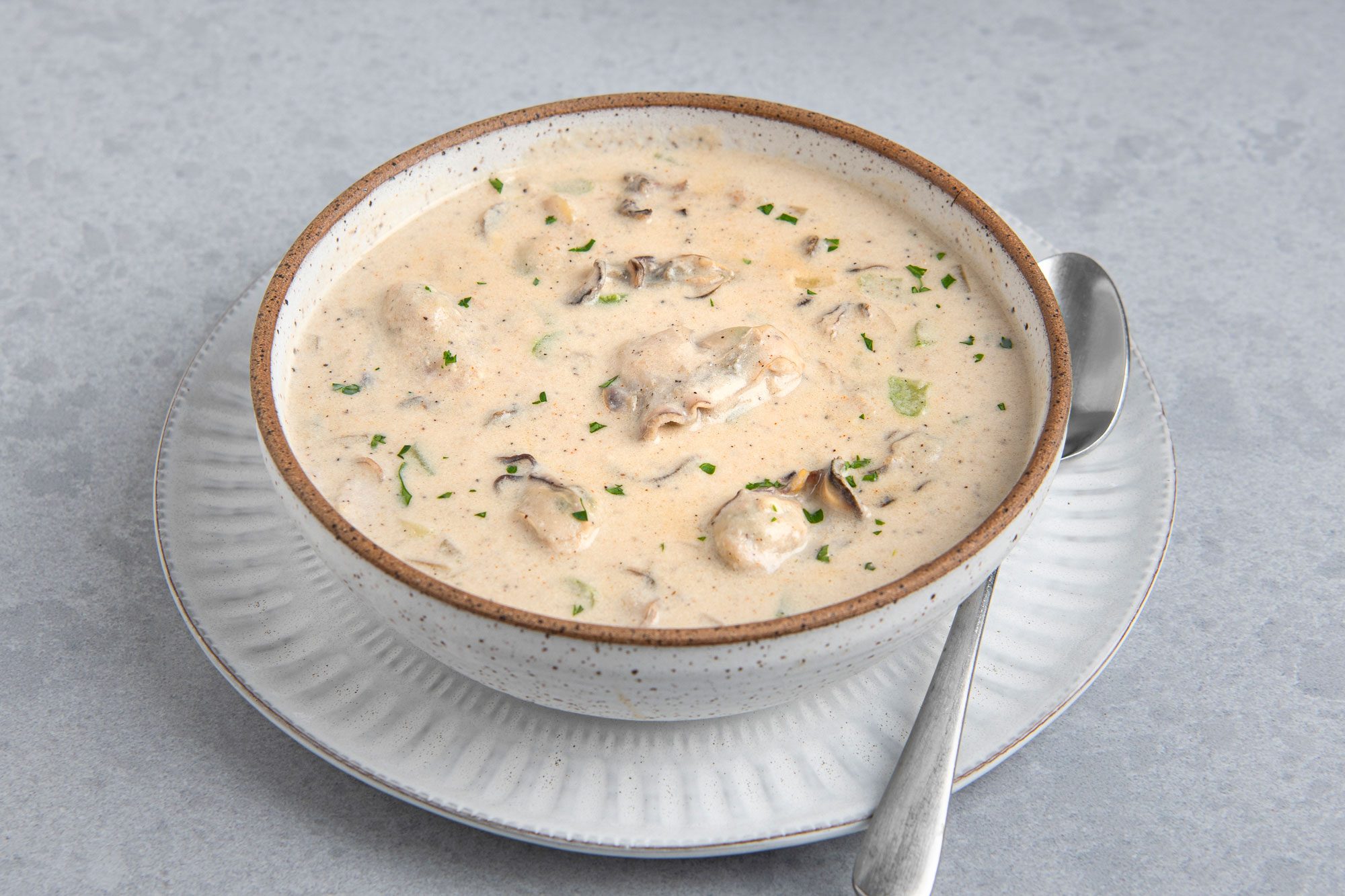 3/4th shot of a bowl of Oyster Stew on a plate with a spoon to the right of the bowl; the bowl is a speckled white with a brown rim; the stew is a creamy white with some green bits of parsley and some dark bits of pepper