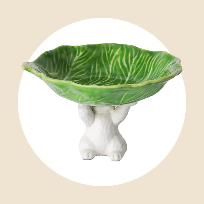 White bunny holding a cabbage dessert tray on a white and tan background