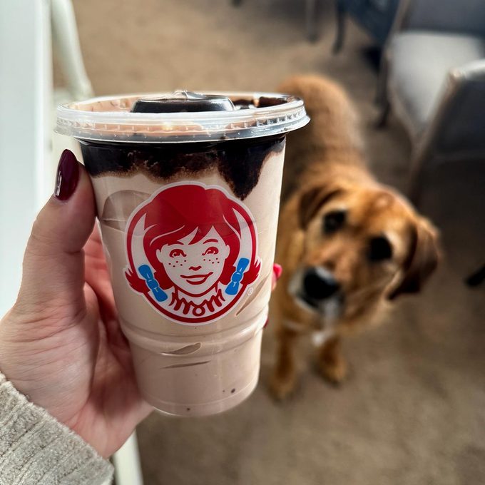 Hand holding a Wendy's Thin Mint Frosty with a dog in the background