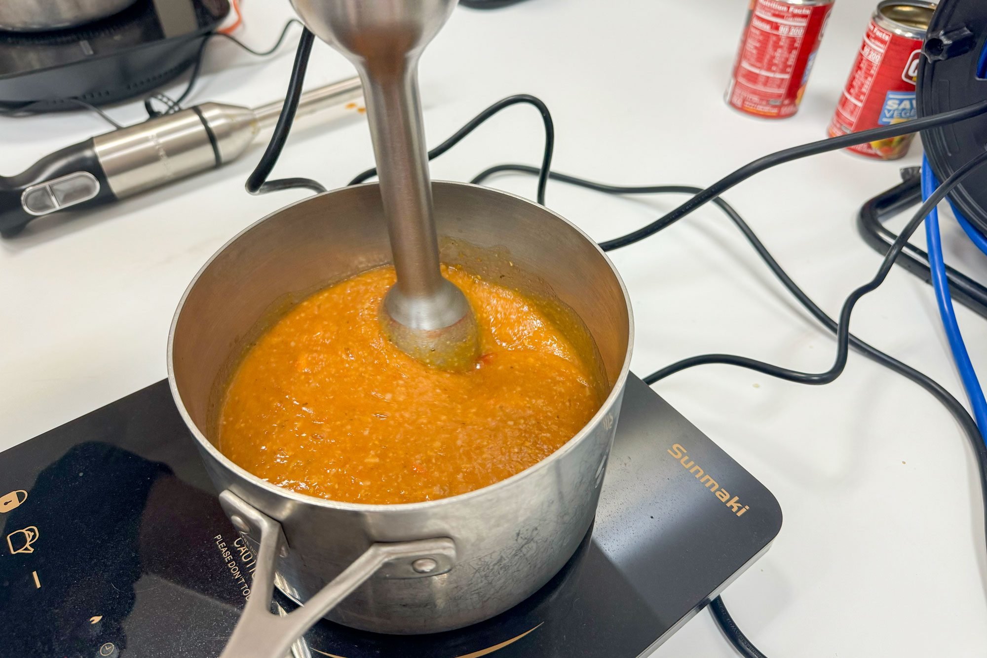 Vitamix Immersion Blender Review Soup Test
