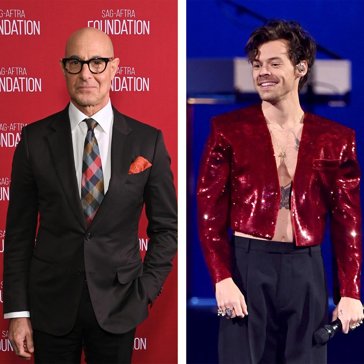 Stanley Tucci Cooked This Iconic Fish Dish for Harry Styles