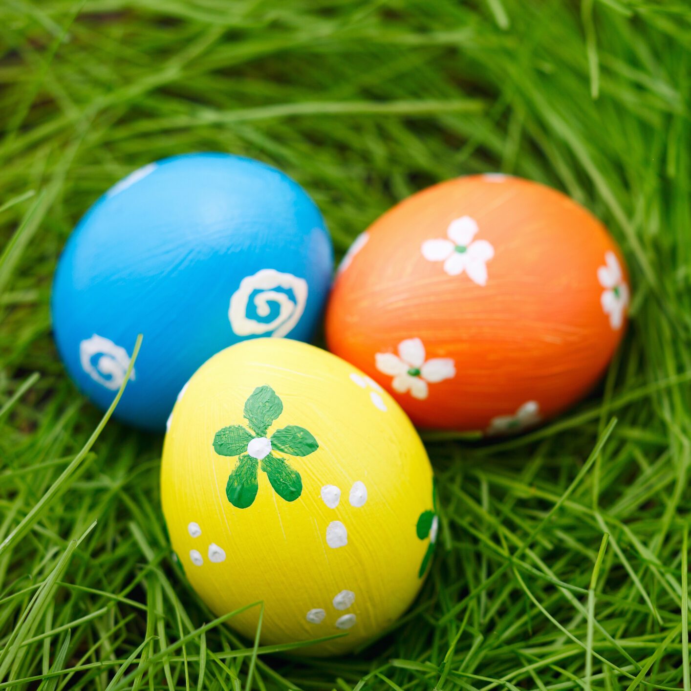 Easter eggs on a grass