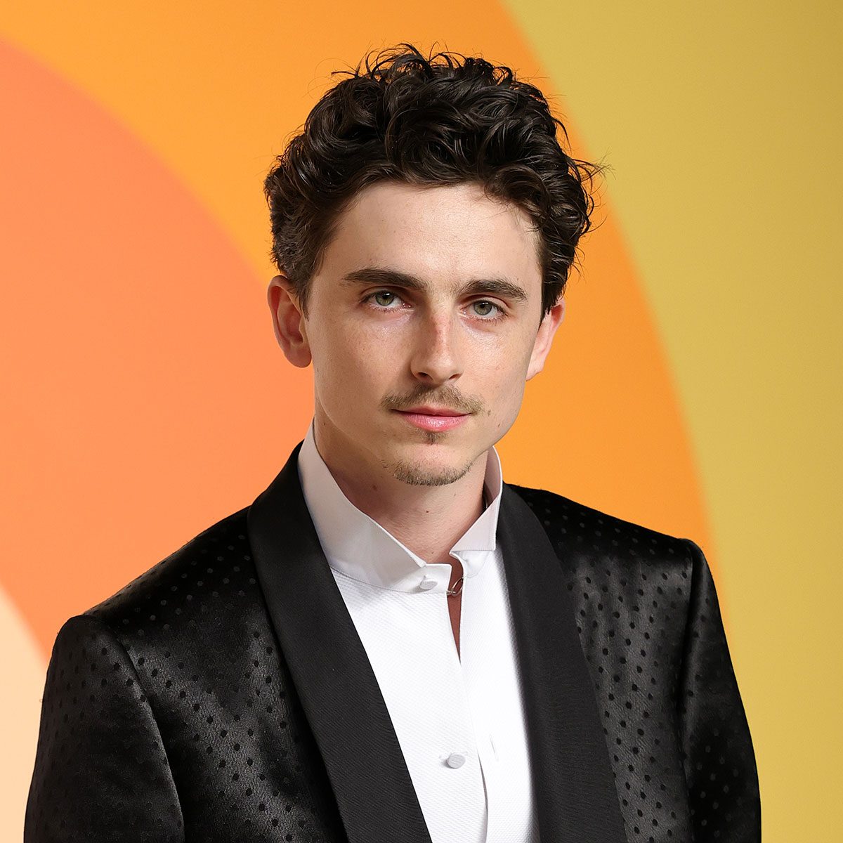 Trader Joe’s Sells Timothée Chalamet’s Go-To Snack—and We’re Obsessed