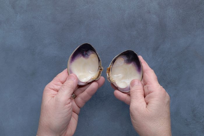 overhead shot of Two hands are shown holding two halves of an open quahog clam; the inside of the shells is visible, white surface with a dark purple edge; the hands are positioned at the bottom of the frame, and the background is a muted blue gray