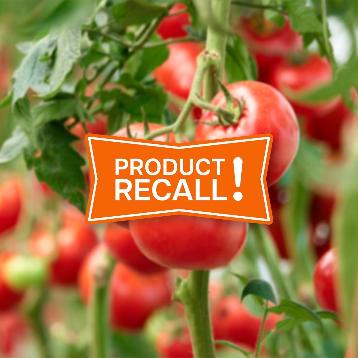 Tomato Recall: Vine Ripe Tomatoes Recalled in 14 States Because of Salmonella Risk