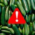 Major Salmonella Outbreak: Cucumbers Linked to 26 Illnesses in 15 States