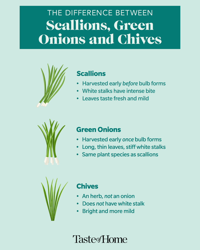 Infographic highlighting the differences between scallions, green onions, and chives