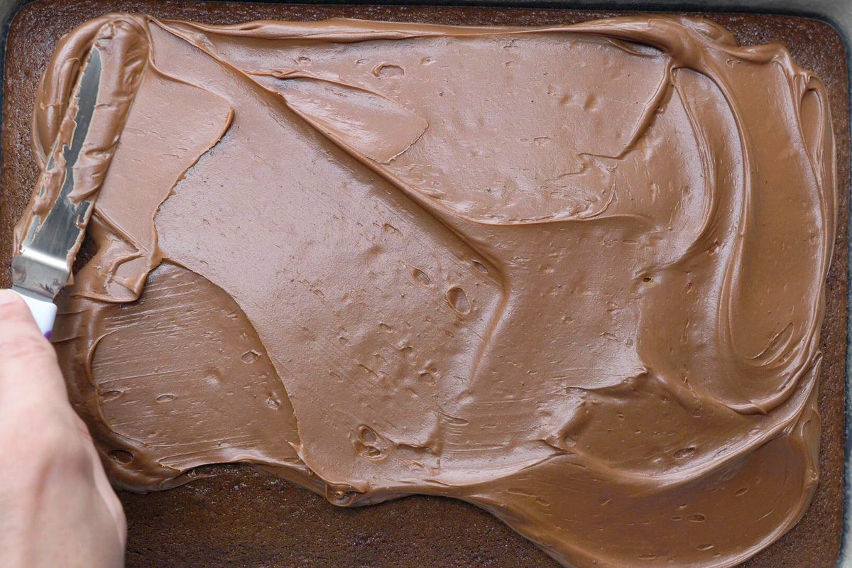 Homemade Chocolate Cake batter