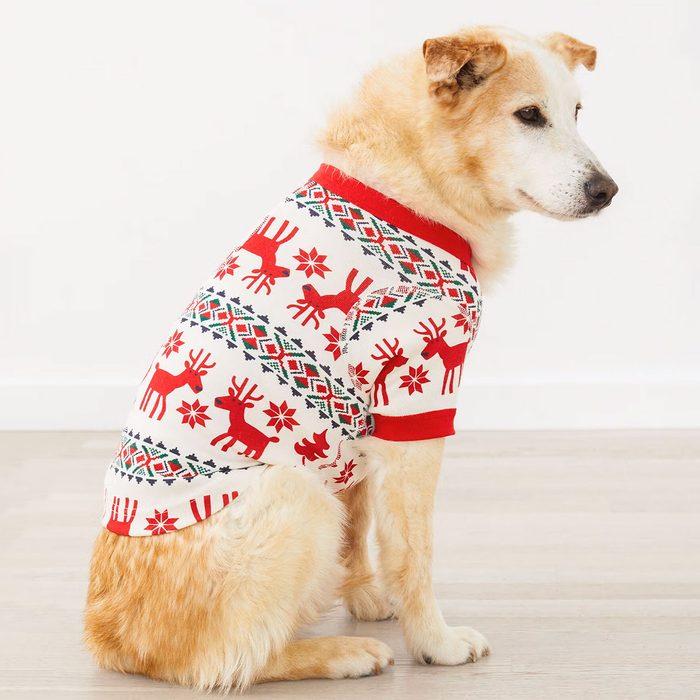 Dog Deer Green Pajamas